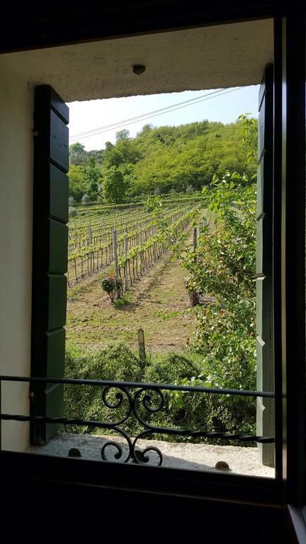 Villa Pollini Torreglia Exterior foto